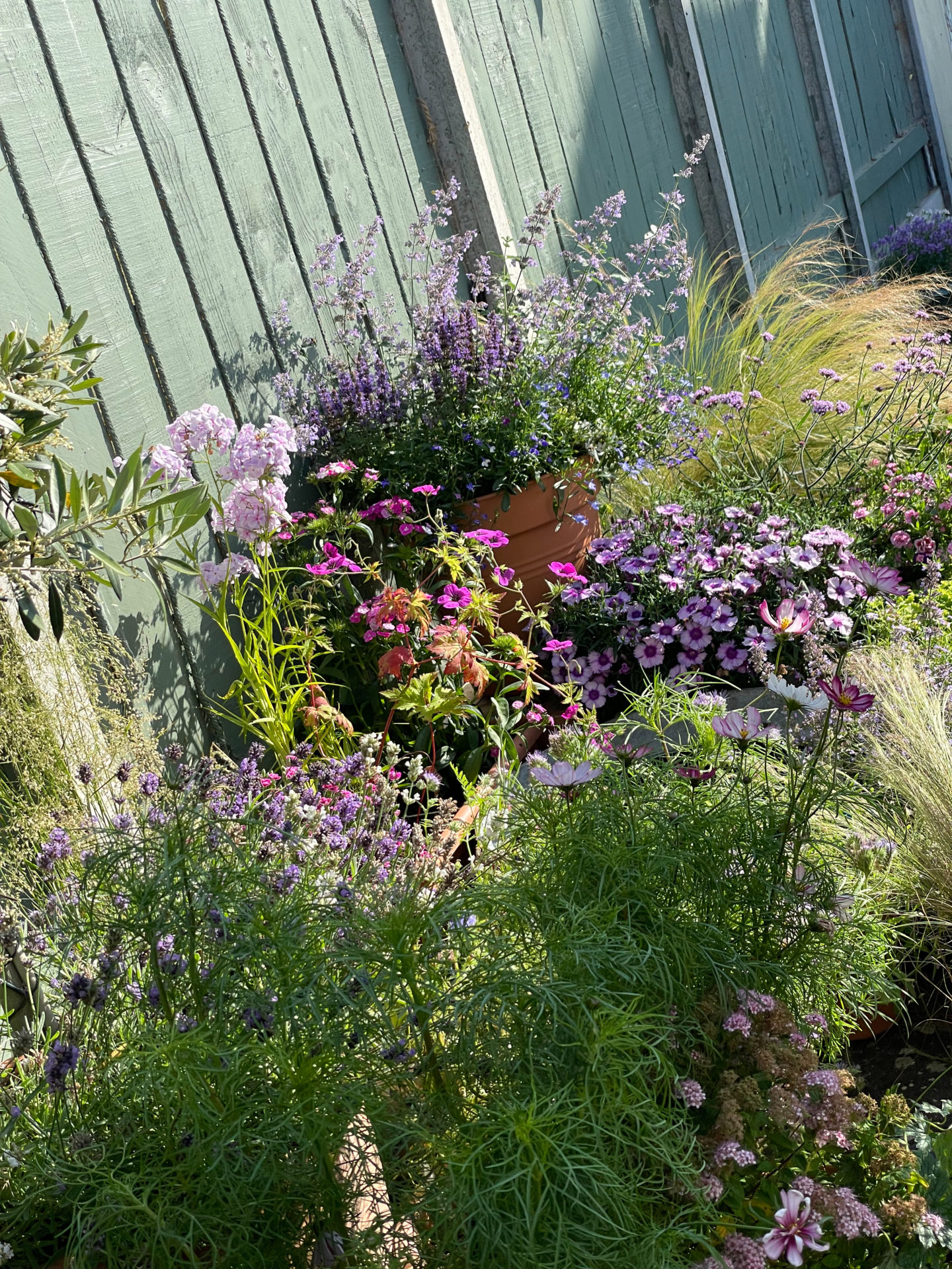 Lovely Gardeny Bits - a tour of my garden